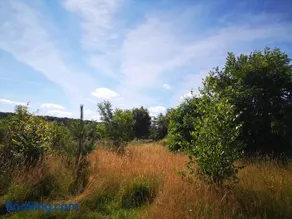 Nature Monchy - Image 2