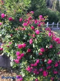 Chalet Delle Rose - Image 3