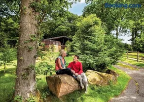 Springwood Lodges - Image 5