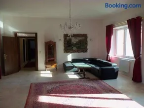 Villa Wellspacher Semmering Luxury Apartments - Image 2