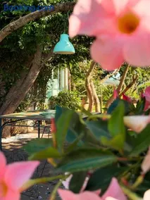 Giacaranda B&B - Image 1