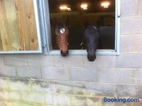Withyslade Farm - Image 4