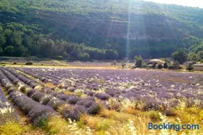 Provence ventoux sault - Image 2