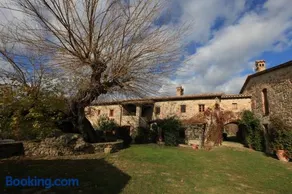 Antico Gelso - Image 1