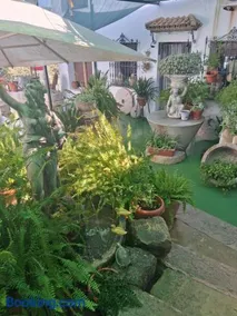 Hotel Casa Paco - Image 2