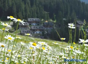 Apartment MOUNTAIN PEARL Golte - Image 2