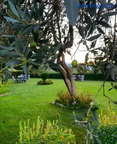 Merly Hotel - Image 2