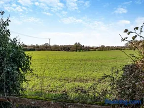 Partridge - Uk48173 - Image 4
