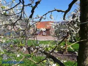 Gemütliches Häuschen im Alten Land - Image 2