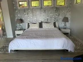 Dragons Island Cottage - Waterfront, pet friendly, dock and private pool - Image 4