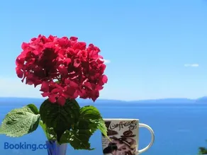 Guest House Lifestyle Holiday - Image 1
