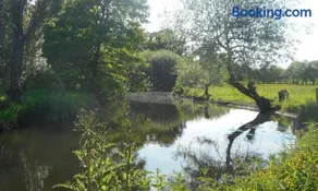 Riverview - Image 4