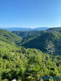 Splendida vista - Image 1