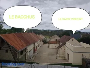 Le Bacchus - Image 2