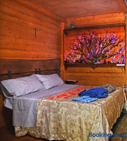 CHALET NEL BOSCO - TENUTA BOCCHINERI - Image 1
