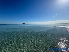 Las Palmeras - Image 4