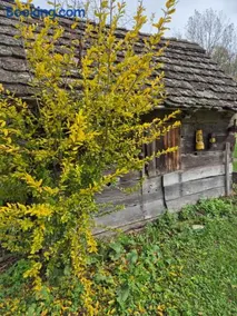 Pension Sava Turizam - Image 4