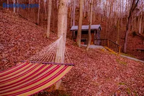 Ohio Starlight Glamping Cabins - A Peaceful Woodland Retreat - Image 2