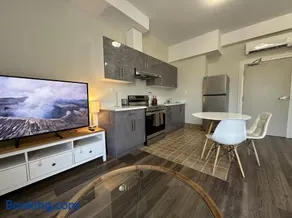 Furnished Simcoe Lofts - Image 1