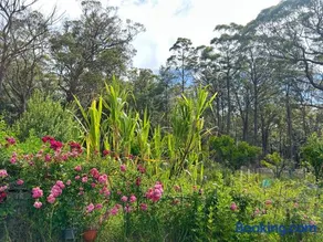 Macyland - Image 5