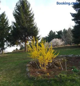 Apartmani Planinska kuća, Jagodnja - Image 5