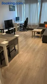 Best nest - Image 4