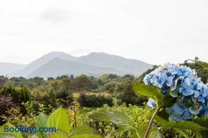 Mountain View B&B - Image 2