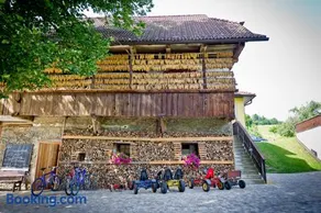 Bauernhof Liendl - Image 2