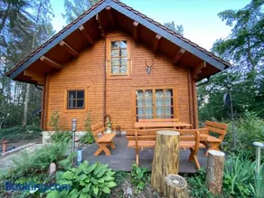 Waldhaus Eichhörnchen - Image 5