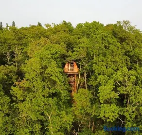 La cabane entre les cimes - Image 1