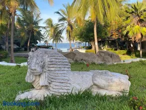 White Lion -the only one- - Image 1