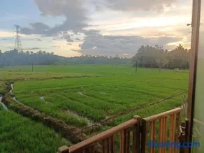 Paddy Edge Ahangama - Image 1