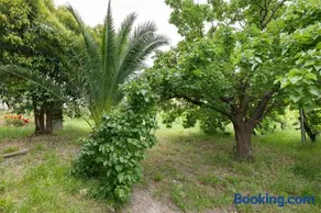 Agriturismo Il vigneto - Image 2