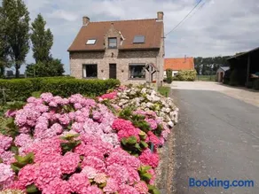 B&B Het Polderhof - Image 2