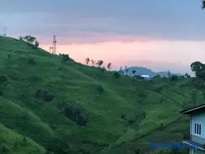 Tikiri Latha Hanthana - Image 2