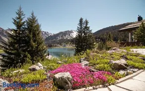 Sans Souci EG - Alpenblick & Obersee Panorama - by Arosa Stay - Image 2
