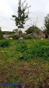 Chez Basile - Image 3