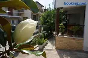 Magnolia - Image 1