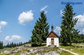 Ferienwohnung in Unterwirts Almhütte auf der Winklmoosalm - Image 1