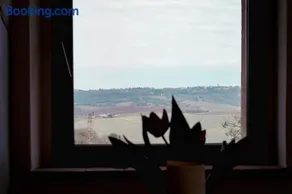 LA TULIPA - Image 2