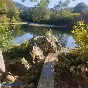 El Búho de la Remolina - Image 2