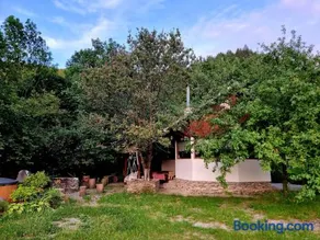 Biniște -Tiny House by the river - Image 1