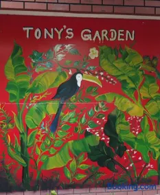 Tony's Garden House Back Packers inn - Image 1