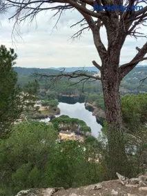 El Madroño de la Encantada - Image 2