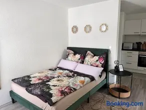 Am Klinikum, Nähe Europa Park und Strasbourg, zentrumsnah - Image 2