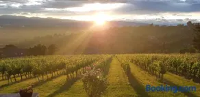Wein- und Weitblick - Image 3