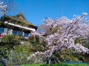 洋々庵・古民家一棟貸・完全貸切・プライベートサウナ - Image 1