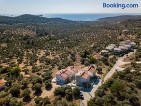 Villa Oliva - Image 3