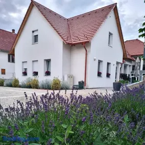 Domb Apartmanok - Image 2
