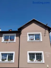 Hortenzie - Image 1